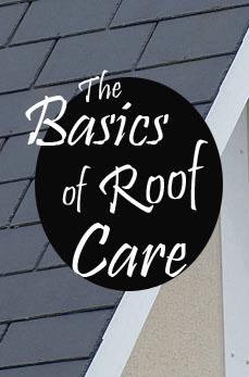 roof care